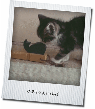クジラさんみたいに強くな~れ! クジラさんみたいに強くな~れ!