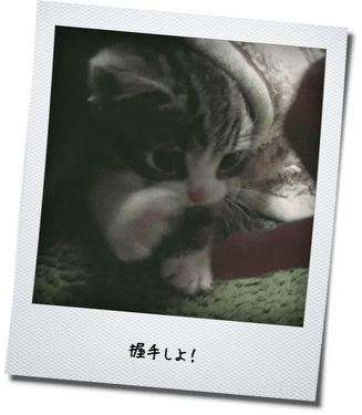 食べちゃいたい!?@@;