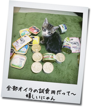 猫缶届いたよ!