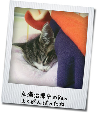 Ren、がんばったね!!
