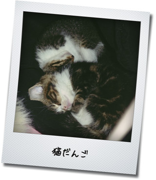 一途な片思い